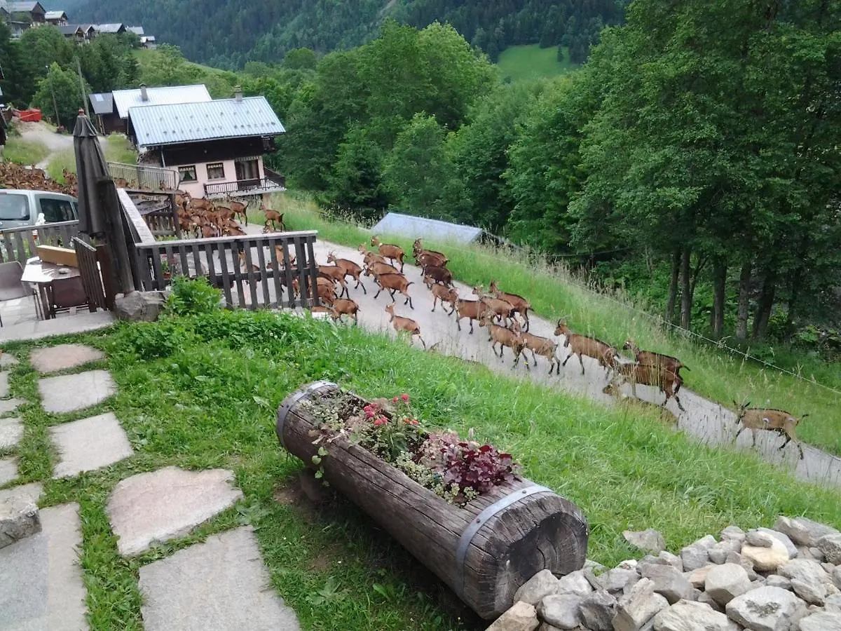 Villa Le Refuge des Marmottes à Arèches 0*,  France